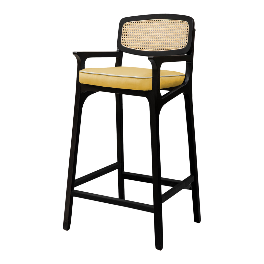 Karl Counter Chair w/ Arms